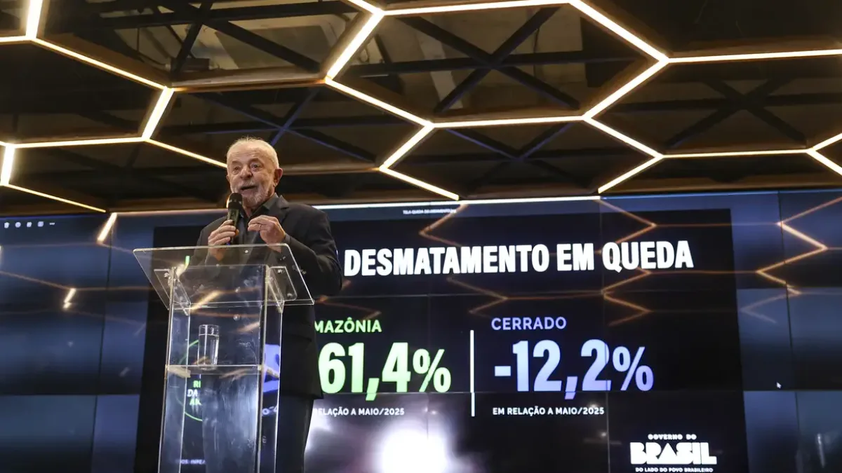 Desmatamento na Amazônia cai 61,4% em maio, maior redução já registrada