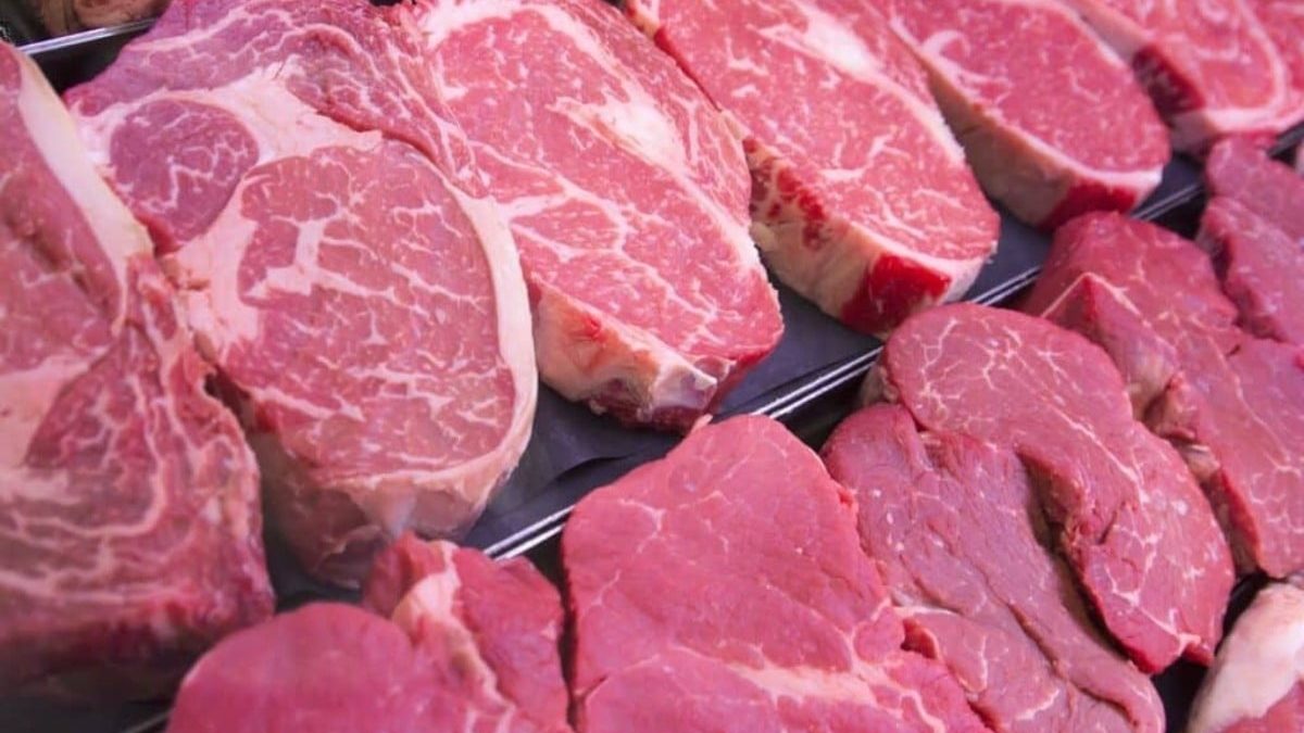 União Europeia oficializa veto à compra de carne brasileira por uso excessivo de antimicrobianos