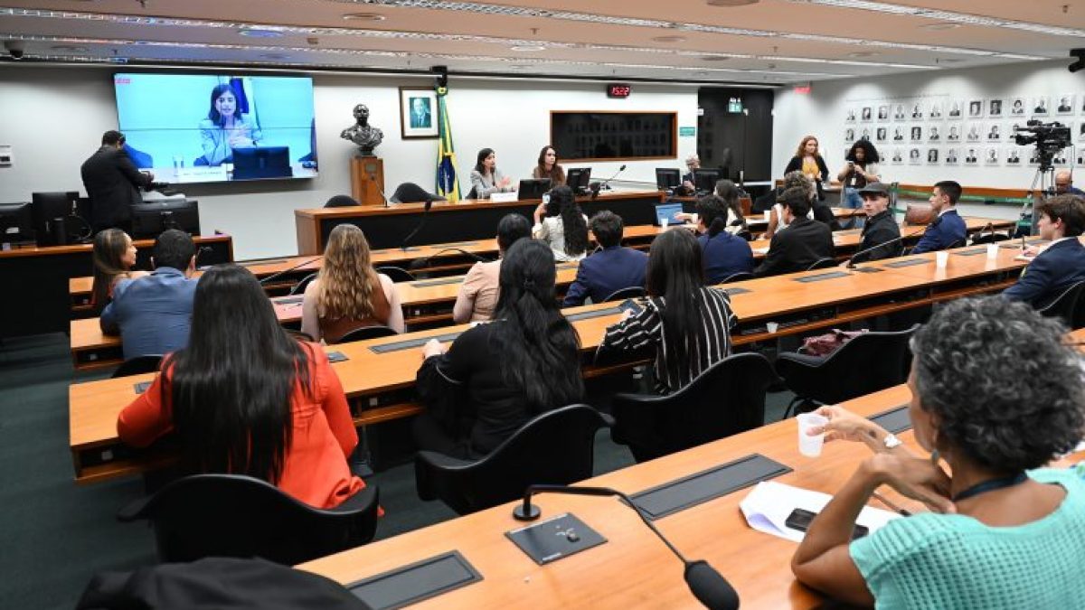 Grupo de trabalho debate constitucionalidade da criminalização da misoginia