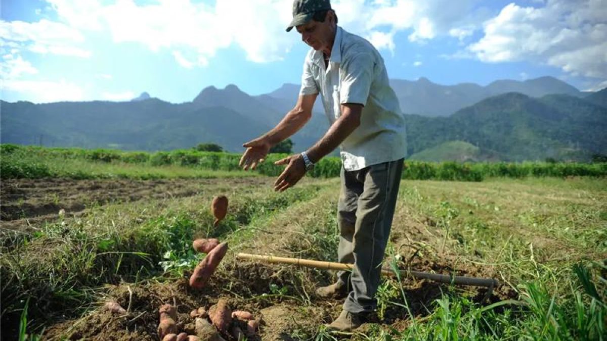 Super El Niño ameaça agronegócio e pode elevar preços de alimentos e energia
