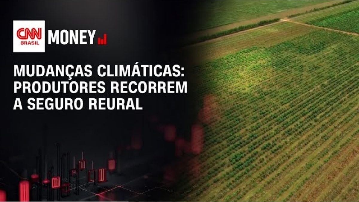 Setor segurador mantém esforço permanente para apoiar transição climática
