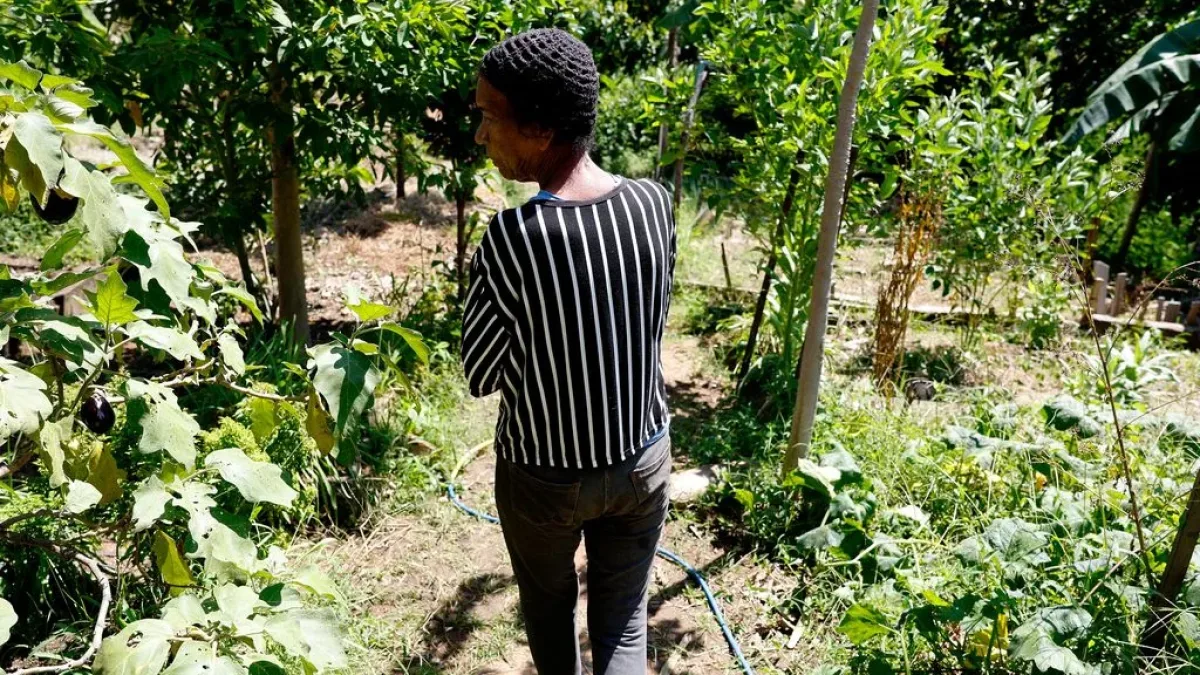 Lei de incentivo à agroecologia no RJ completa 5 anos sem regulamentação