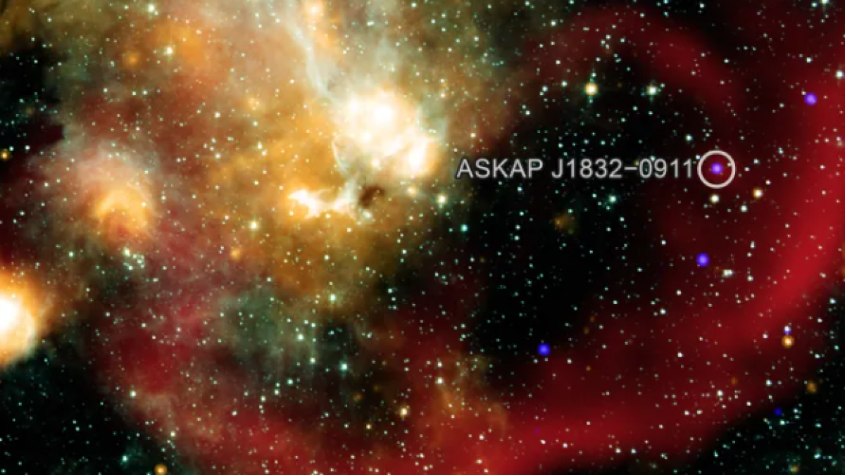 Estrela sinistra desafia astronomia: raios-X variam a cada 44 minutos