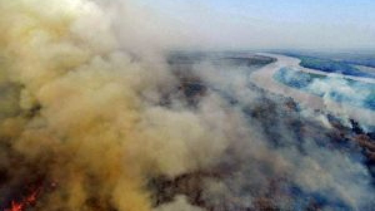 MP de R$ 337,5 milhões para prevenção de incêndios florestais tramita no Congresso