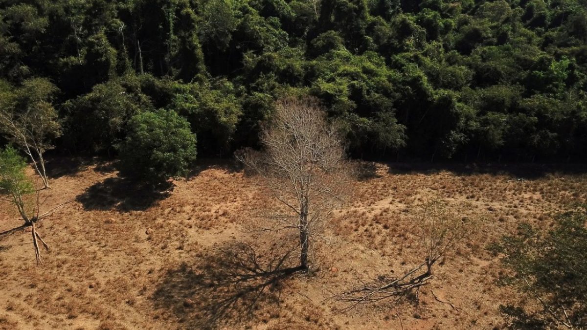 Coalizão Brasil entrega a candidatos proposta com três eixos para economia do uso da terra