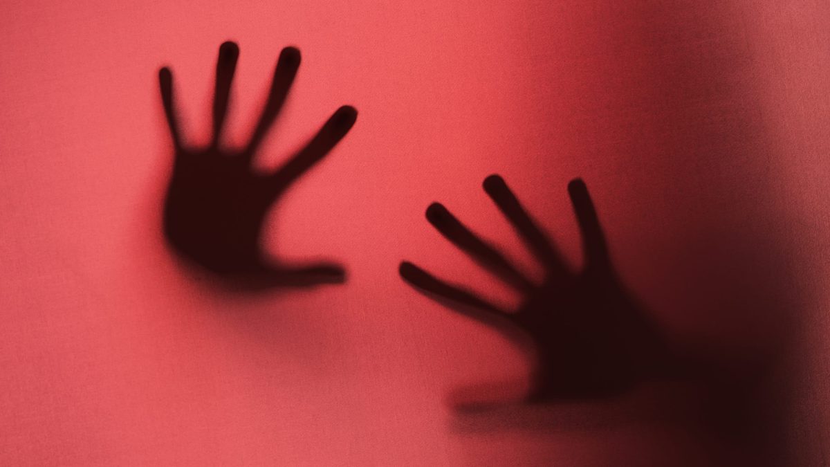 PF resgata duas mulheres em operação contra exploração sexual interestadual
