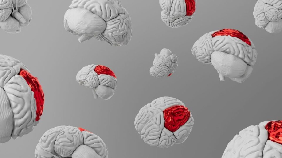 Japão aprova tratamento inovador com células-tronco para Parkinson