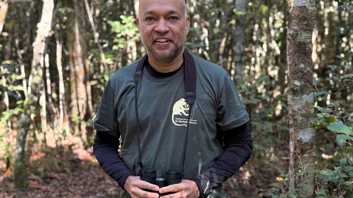 Pesquisador brasileiro ganha prêmio da Sociedade Americana de Primatologia