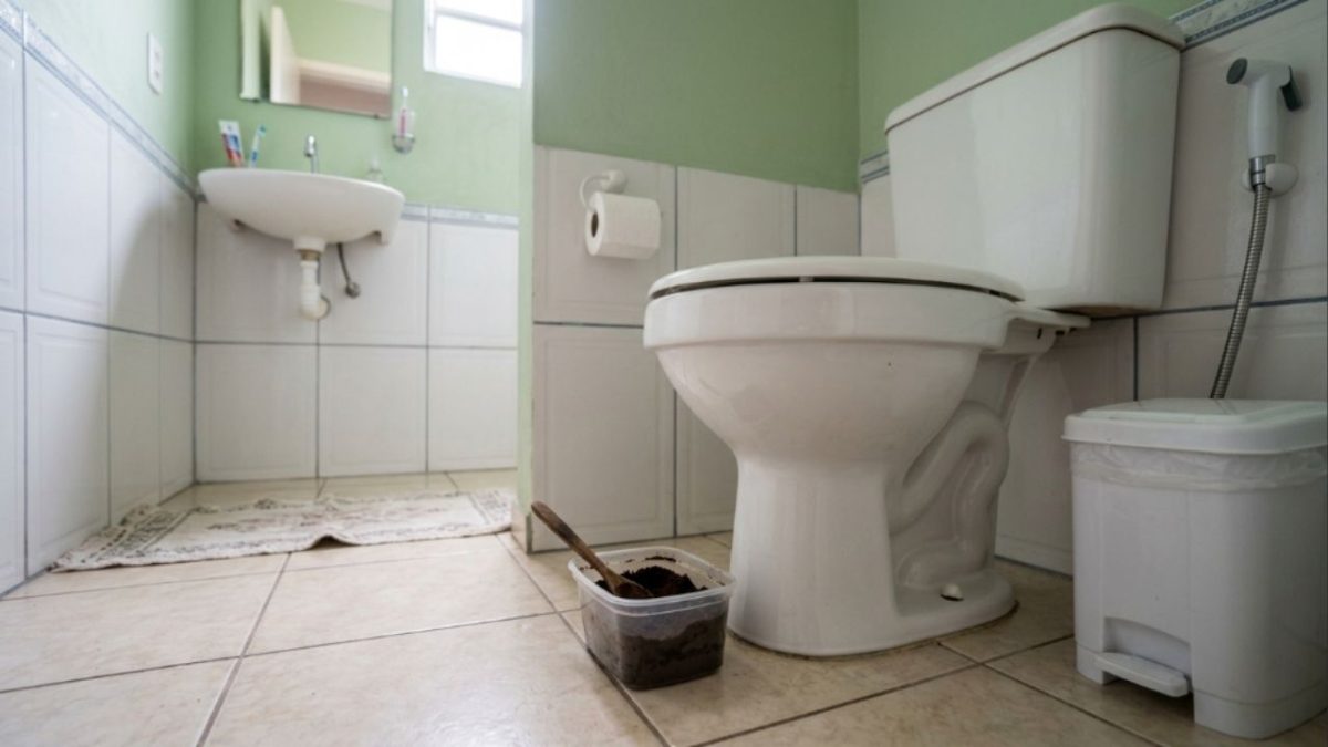Borra de café no vaso sanitário: benefícios e riscos do truque caseiro