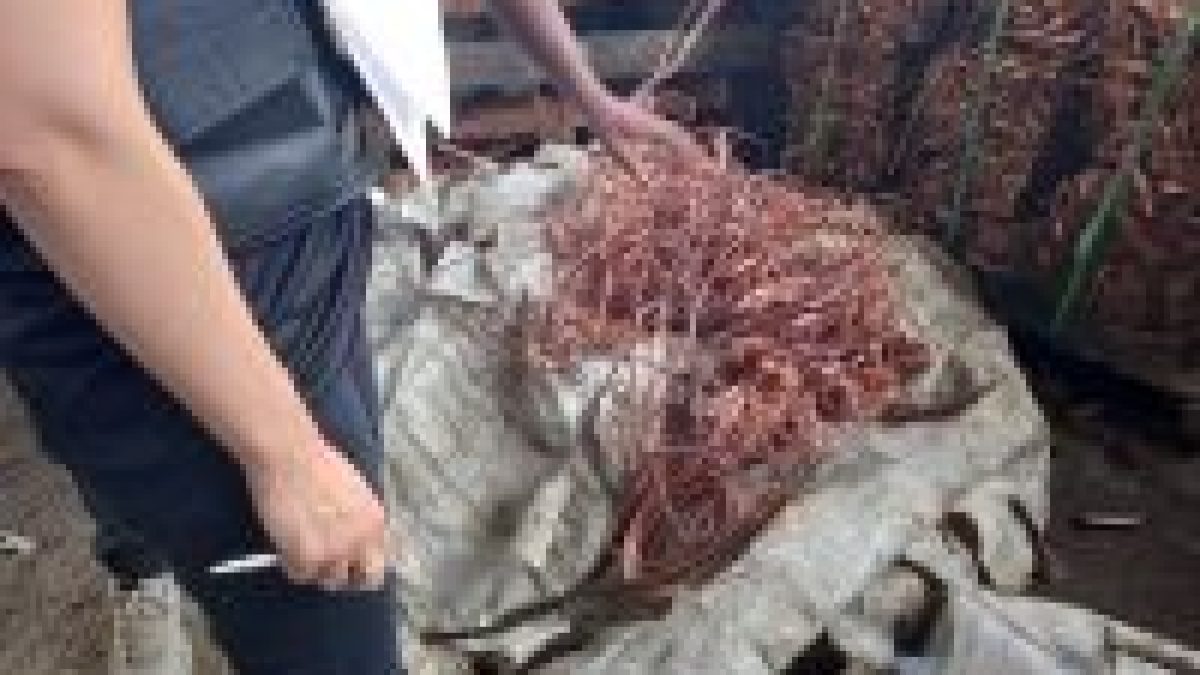 Bairros em BH podem ficar sem água por furto de cabos; entenda