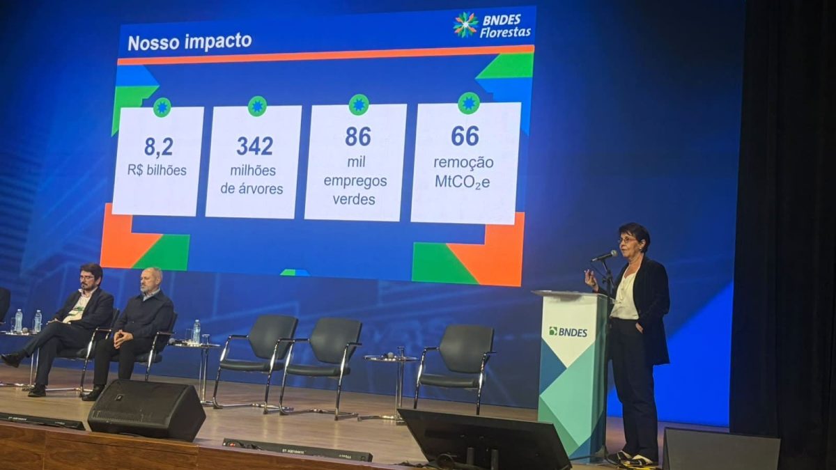 BNDES Florestas mobiliza R$ 14,1 bilhões e consolida nova economia florestal no Brasil