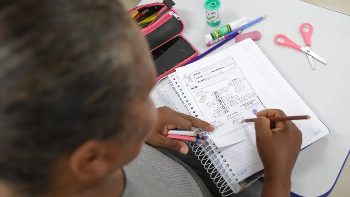 Analfabetismo no Brasil atinge menor nível histórico e fica abaixo de 5%, aponta IBGE