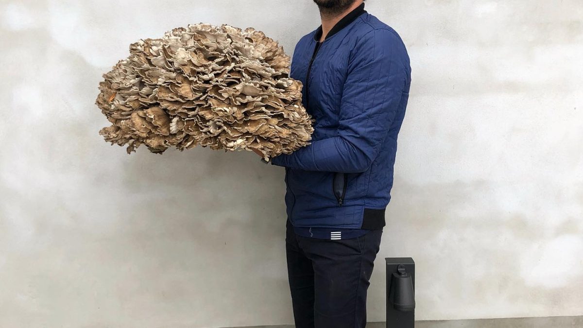 Noma, o restaurante mais influente do mundo, vai reabrir após polêmicas com chef e ex-funcionários