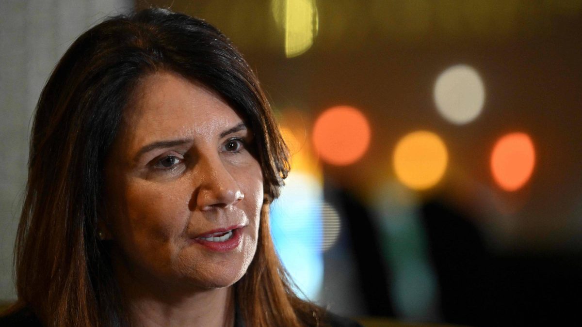 Ana Toni defende que mapa para transição energética sairá antes da COP31 e nega pressão de lobby fóssil