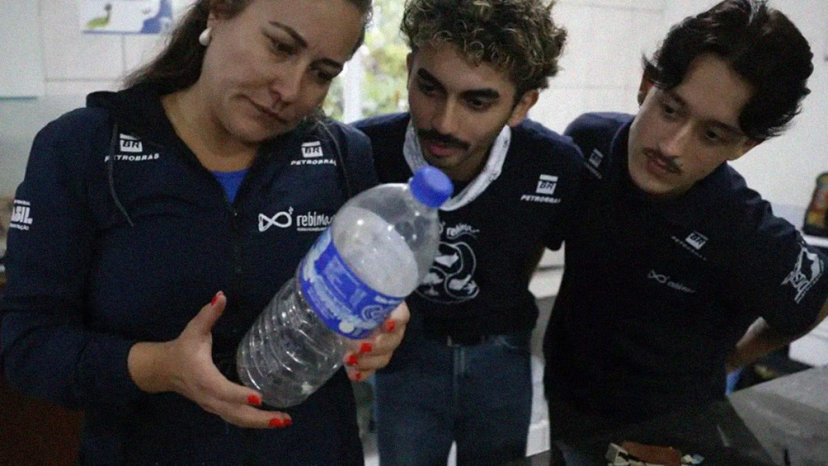 Microplástico é encontrado em 93% dos peixes analisados no litoral do Paraná