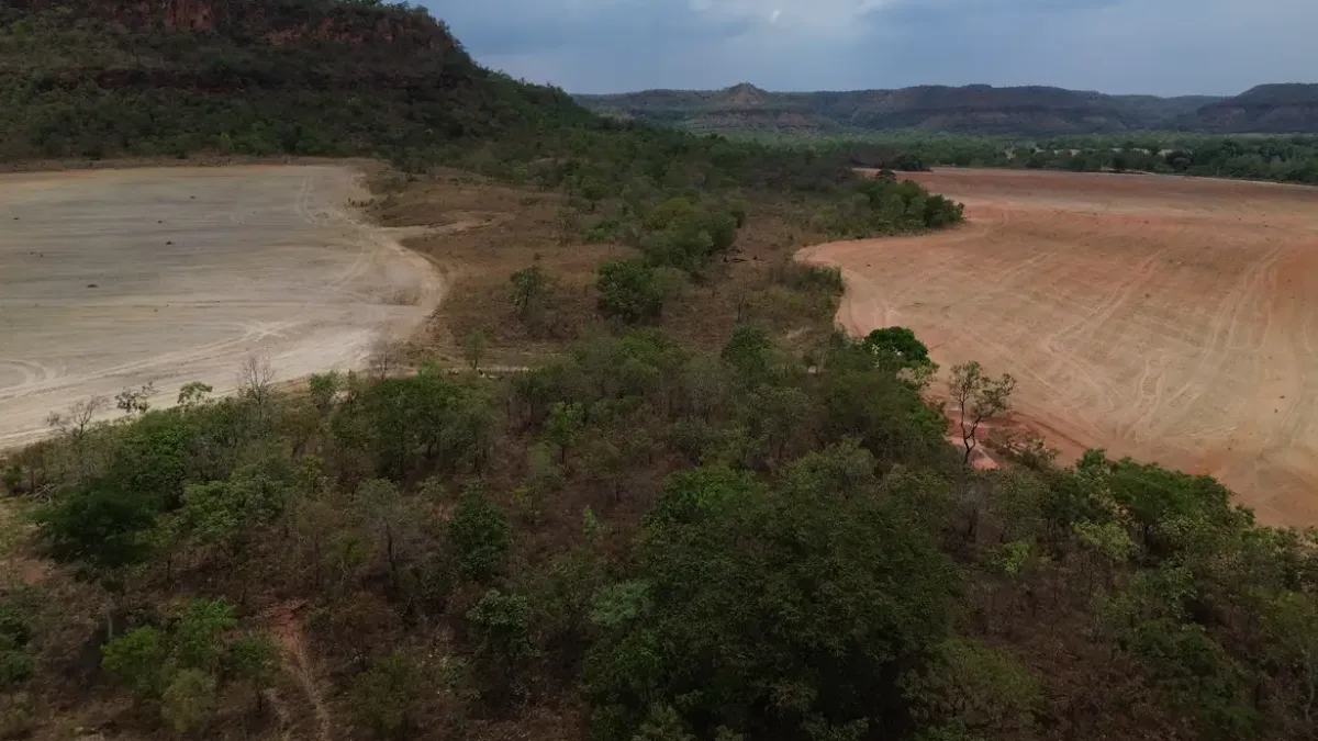 Fazenda ligada a empresária investigada por PCC lidera desmatamento no Piauí em 2025