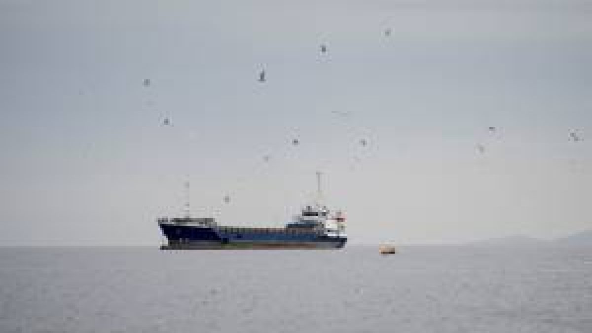 EUA dizem que cerca de 72 navios saíram do Estreito de Ormuz nas últimas 24 horas