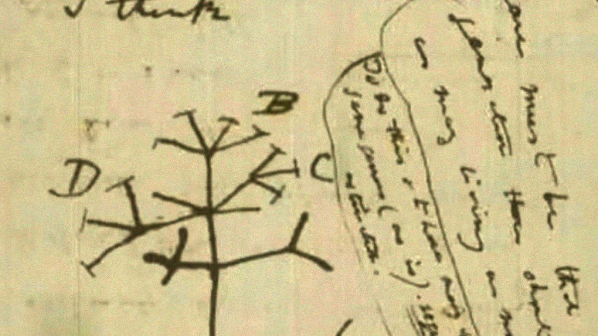 Teoria da evolução não foi antecipada por filósofo muçulmano, diz análise