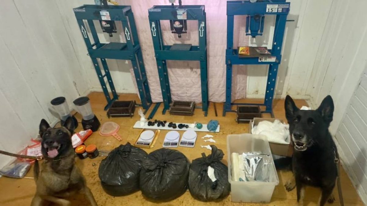 Operação Panóptico cumpre 559 mandados contra o PCC em quatro estados