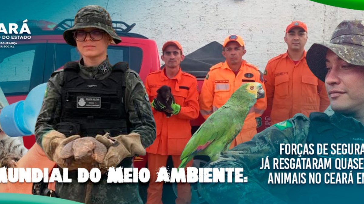 Forças de segurança resgatam quase 6 mil animais no Ceará em 2026