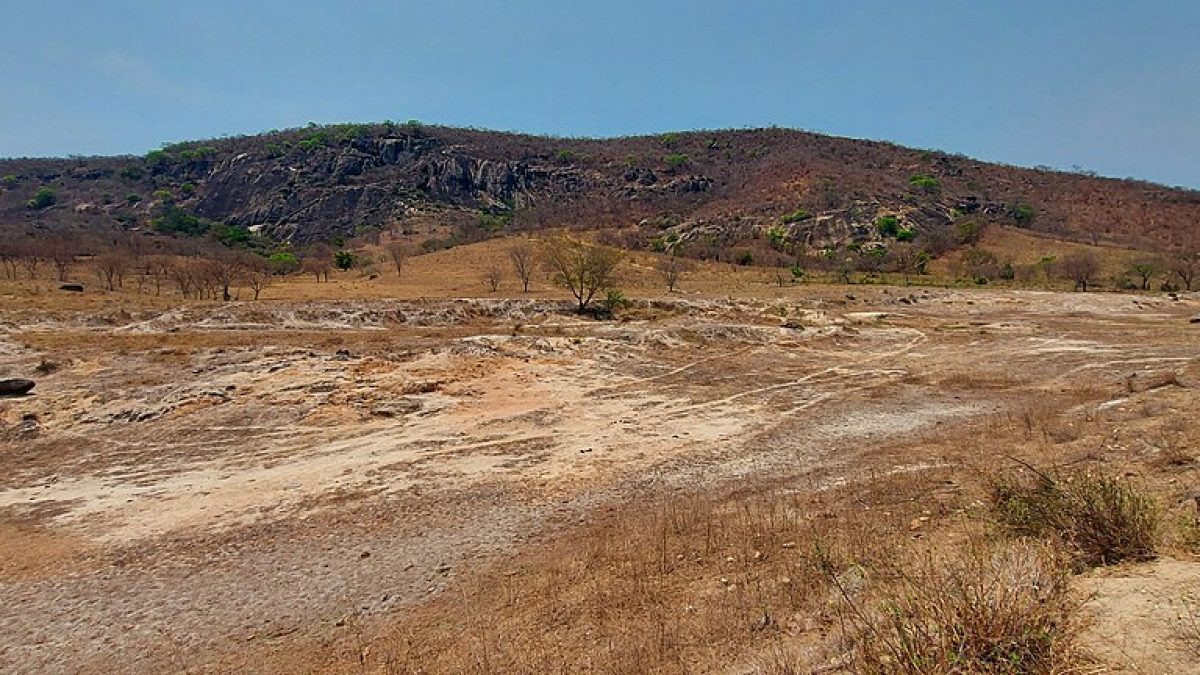 Mineradora canadense quer investir R$ 150 milhões em projeto de minerais críticos no Vale do Lítio