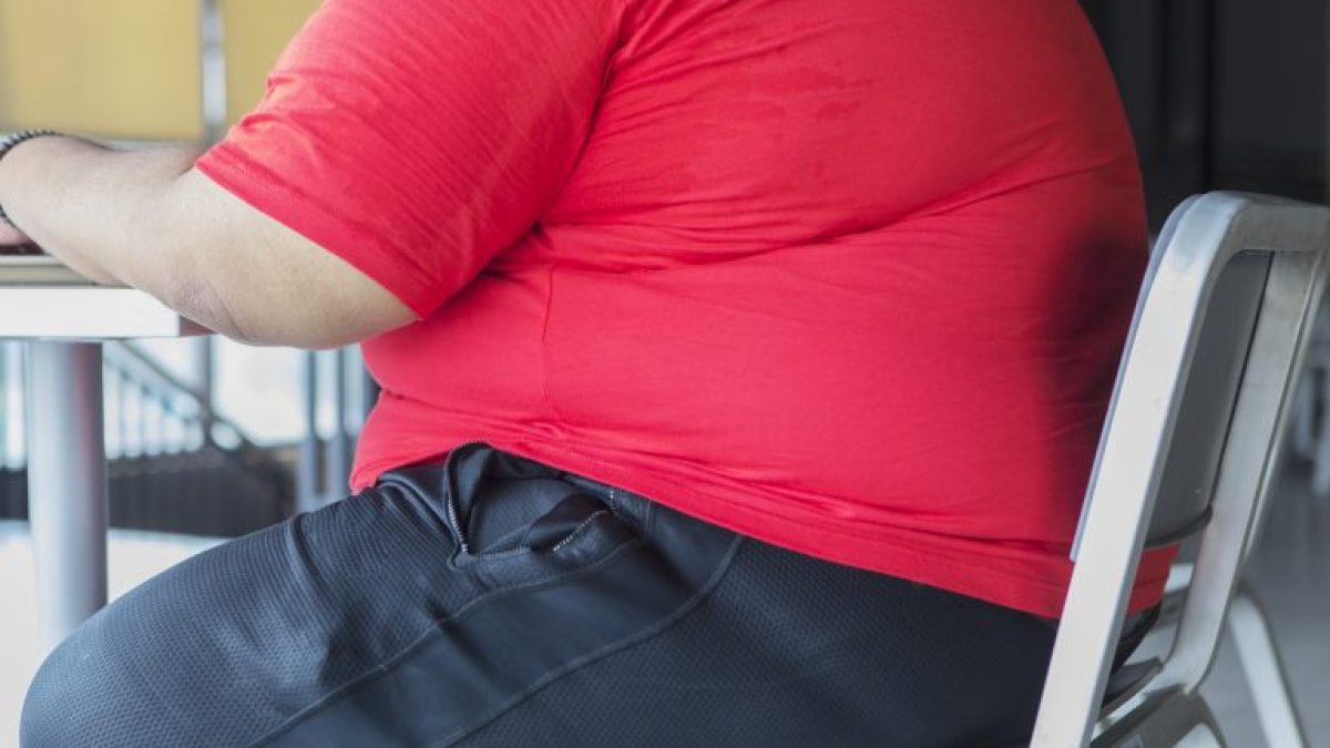 Comissão debate dados do Atlas da Obesidade 2026 e tributação de alimentos ultraprocessados
