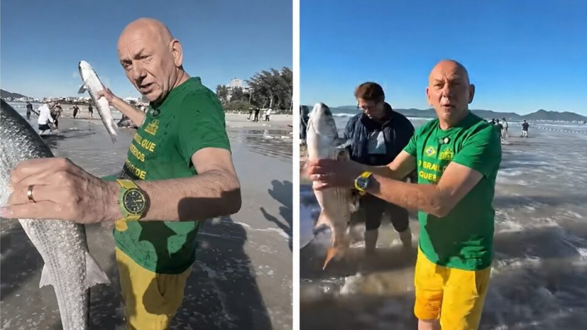 Luciano Hang participa de pesca de tainha; governo federal encerra temporada antes do prazo