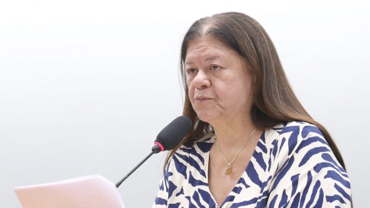Comissão aprova projeto que prioriza mulher chefe de família em linhas de crédito da agricultura familiar