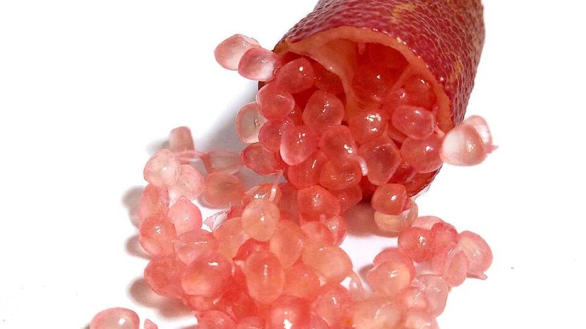 Uma das frutas mais caras do mundo, que pode custar R$ 1.200 por quilo e parece caviar, começa a ser produzida no Brasil