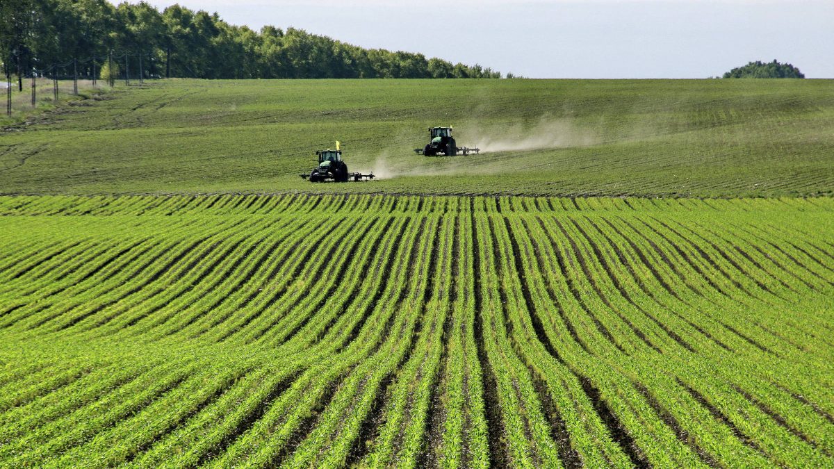 Rio Grande do Sul se prepara para El Niño intenso enquanto se recupera de desastre de 2024