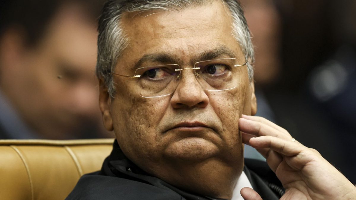 Dino mantém remoção de vídeos ofensivos de vereador, mas libera bordão 'nunca será'