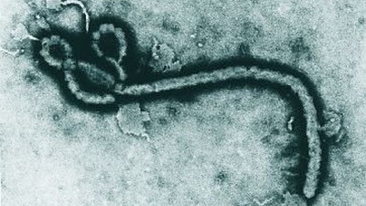 RS investiga caso suspeito de Ebola em homem que esteve em Uganda